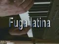 Siesar - Fuga latina - live - with Roland G1000