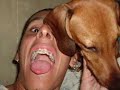 2 - Cachorro Daschund - Scooby