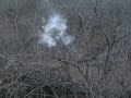 bottle explosion bottle explosion