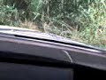 Rally com o Dend�u parte II