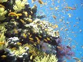 marsa alam 2007