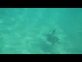 MVI_1213.MOV