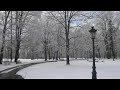 Sniegas Verki? parke Sniegas Verki? parke