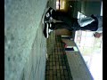 doelloos ollien