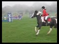 Snoopy- Wales