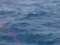 久米島釣行記2007.7.20パヤオ編