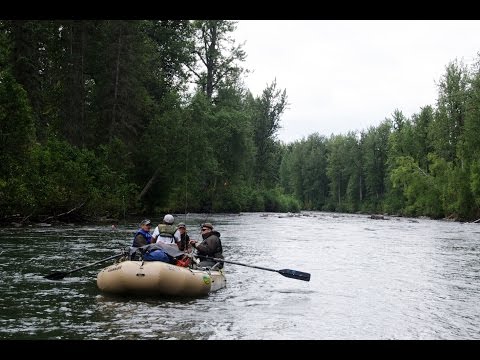 YouTube Video Poster