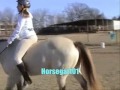 Roxy- Bareback and Bridleless Roxy- Bareback and Bridleless