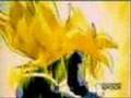 - video dragon ball -- What I've done -