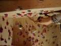 utterslev climbing gym sideways