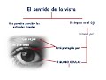 El sentido de la vista