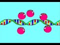 DNA Replication Cartoon DNA Replication Cartoon