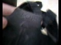 s10 gas mask sas