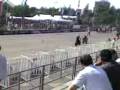 videos de expo 5