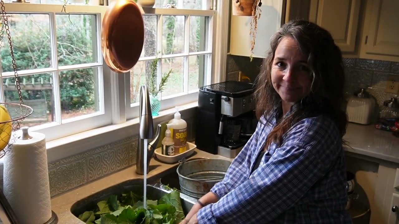 How to Wash Collard Greens Before Cooking for the Most Tender and Delicious Collard Greens.