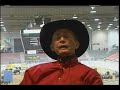 Doc At Night - Phenomenal Cow Horse