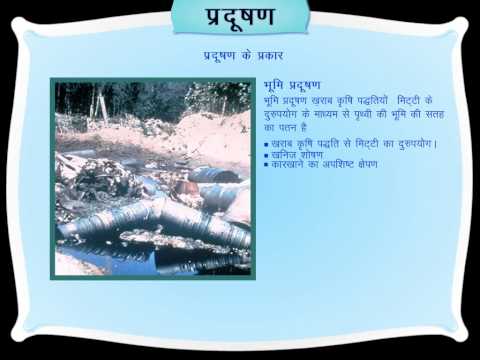 Essay On Pollution