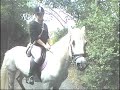 Horse riidng 2