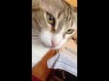 Click here to watch this video Conversando con Bufy
