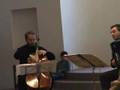 Bach: Sonata BWV 1029 (1) played by Brunello & Battiston