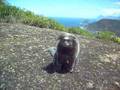 videos de -