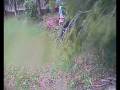 videos de French Enduro Tom Crash.wmv