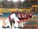 VERCELLI - Montonero 2008 Primaria