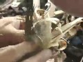 Making Fire with Flint and Steel Making Fire with Flint and Steel