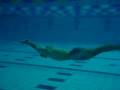 videos de Apnea entreno