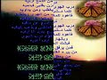 درب الهوى