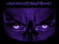 Voodoosteamboat-Shad