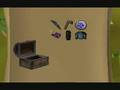 runescape am i rich???