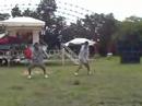 yfc tanjay