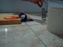 Training Markov