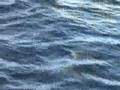 SUN21: FIRST LAND SIGHTING OF CANARY ISLANDS