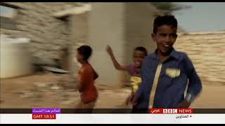  .. BBC .. Socotra تقرير أنور العنسي بي بي سي, سقطرى.. تحديات الهوية والأرض والإنسان