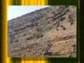 Electric Power and Roadways in Iraq