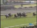 2007 エリザベス女王杯 QUEEN ELIZABETH CUP