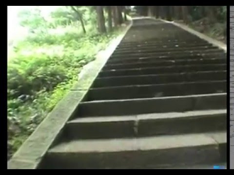 Sichuan Tour