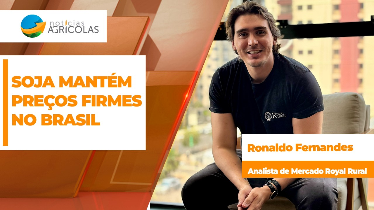 Preços da soja se mantêm no Brasil por prêmios e dólar, apesar de despencada em Chicago
