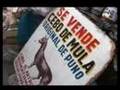 UN MUNDO LLAMADO LA PARADA - PARTE I