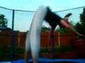 megan doing a back flipp :D