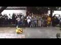 Shaolin Temple - Monkey form