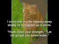 The Death Of Yellowfang