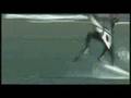 videos de Wild Tracks