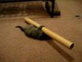 videos de Calliope 3