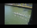 click to view this vid!
