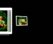 videos de sony ericsson k750i demo