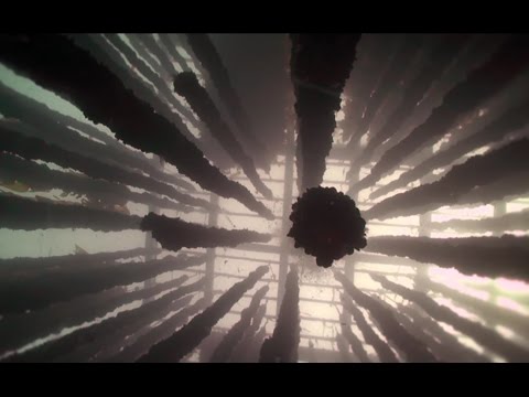 Imagen de previsualización de YouTube