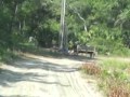 #1A. KVCI, Traveling to Rosewood, FL. (George Boston Rhynes)